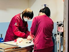 -瑞派福兴宠物医院犬猫全科·骨科·中西医结合(河东店)