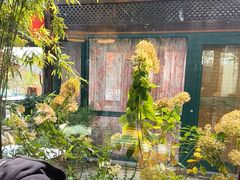 -慢丽江·云南野生菌土鸡锅(付家庄店)