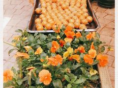 -田园印象·成都土菜院子(华阳店)