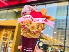 -哈根达斯(石家庄北国店)