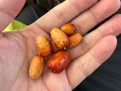 -金塔沙漠胡杨林景区