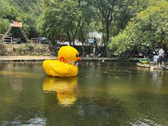 -武汉姚家山旅游景区