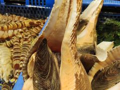 -吴记富苑(朝阳店)