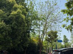 -白鹭湾湿地公园