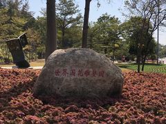 -广东花都湖国家湿地公园