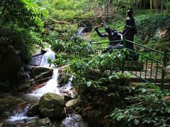 -莫干山风景区