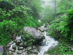 -宜春明月山维景国际温泉度假酒店