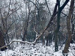 -紫金山索道-售票处