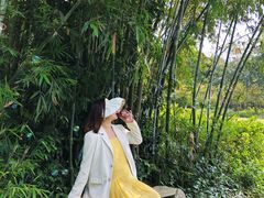 -南宁良凤江国家森林公园