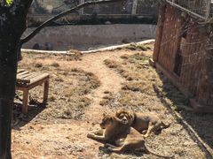 -昆明动物园