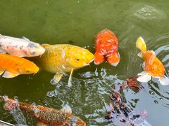 -广州花园酒店