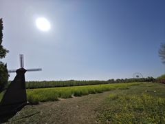 -兰陵国家农业公园