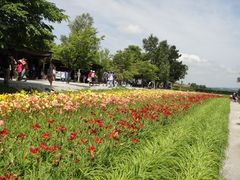 -富田农场