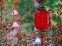 -大渡口区义渡公园