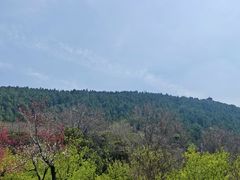 -云龙山