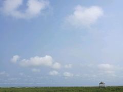 -北海金海湾红树林生态旅游区