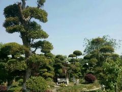 -武汉紫薇都市田园