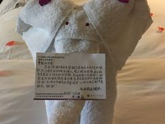 -三亚亚龙湾雅高铂尔曼别墅度假酒店