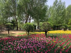 -长春公园(普阳街道)