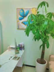 -联合丽格·张菡丽格医疗美容