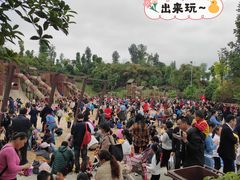 -枫香湖儿童公园