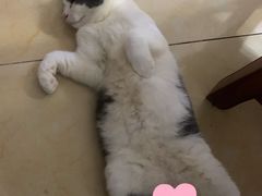 -芭比堂动物医院广州顽皮分院