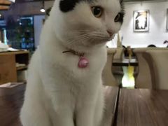 -么么咖啡(燕郊店)