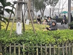 -季高兔窝窝亲子园(上海薰衣草公园店)