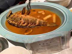 -阿五黄河大鲤鱼(英协路店)