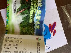 -亚龙湾热带天堂森林公园