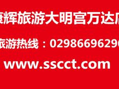 -万达广场(大明宫店)