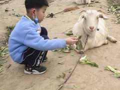 -小鱼草莓采摘园农家乐·小鱼餐厅