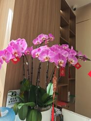 -韩辰医疗美容医院