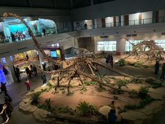 -自贡恐龙博物馆