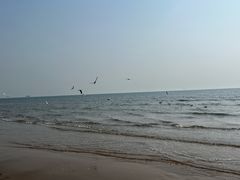 -唐山游泳馆(运动场馆)