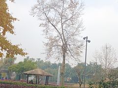 -成飞公园
