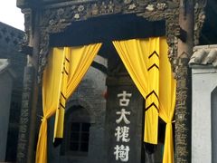 -大槐树寻根祭祖园