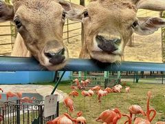 -秦皇岛野生动物园
