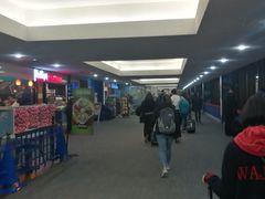 -纽瓦克自由国际机场