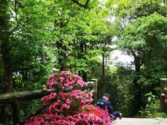 -梧桐山风景名胜区