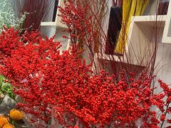 -双季花艺园艺市场(浦东店)