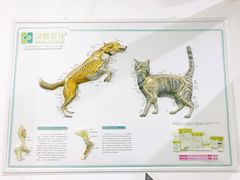 -守诺宠物医院·眼科· 特色牙科·异宠专科(虹口店)