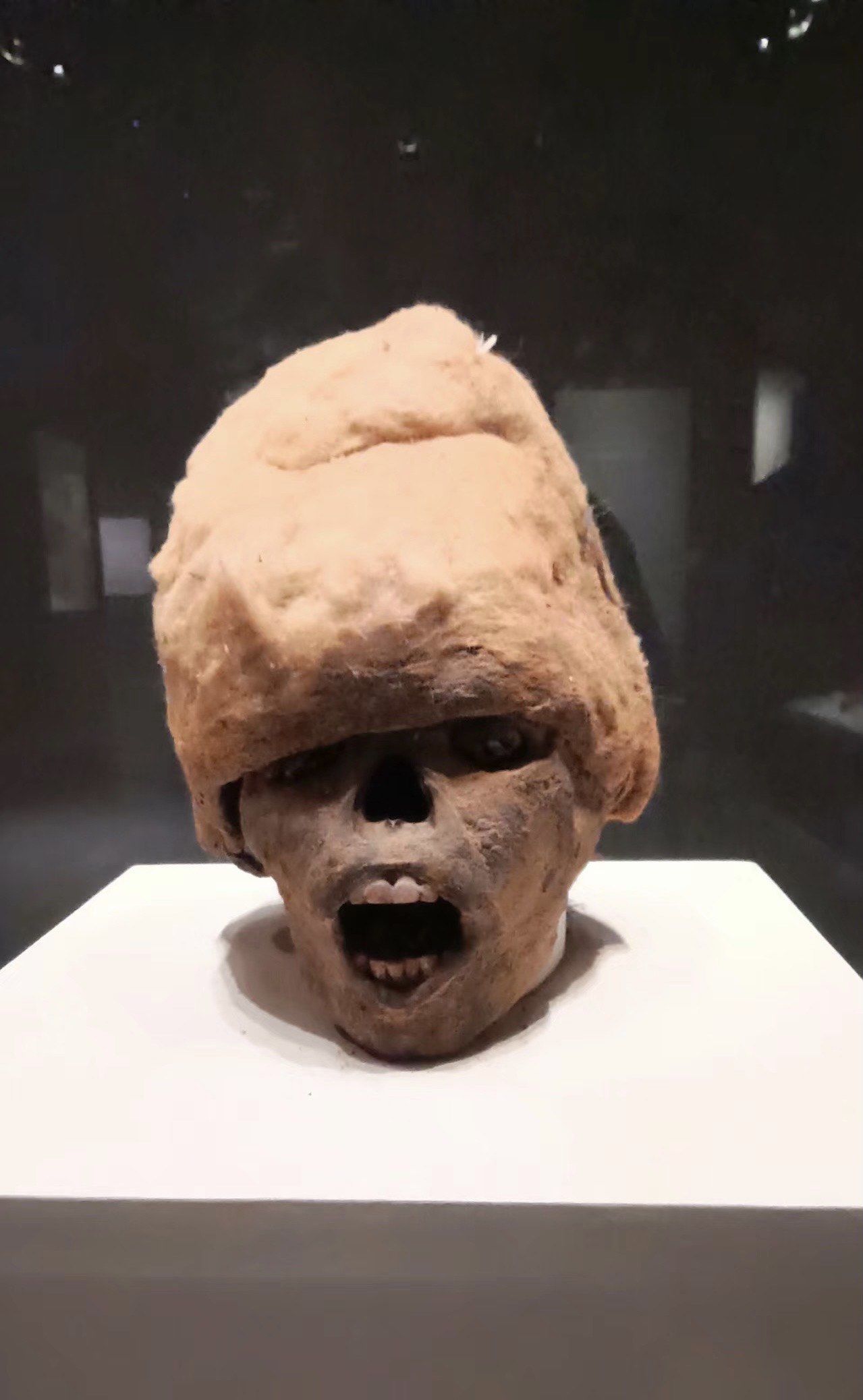 博物馆里的干尸像极了我上班的样子