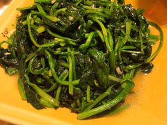清炒农家菠菜-深山老屋(国顺东路店)