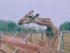 -黄龙溪欢乐田园