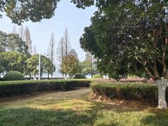 -燕鸣岛