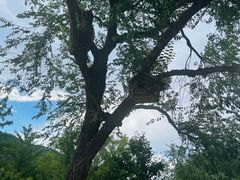 -北京西山国家森林公园