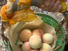 -老袁家蜜桃农场·阳山水蜜桃