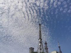 -武陵山森林公园