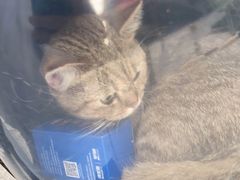 -佳雯宠物医院(四明中路分院)